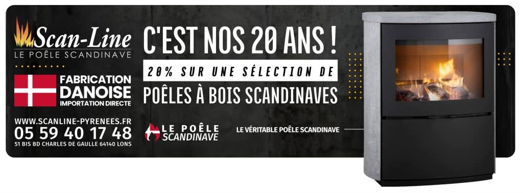 C'est nos 20 ans ! 20% sur une Sélection de Poêles à Bois 1 Campagne janvier 2024 banniere facebook lons copie