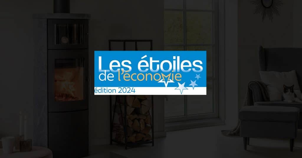 Scan-Line Pyrénées nommé pour le prix de la Meilleure Performance aux Étoiles de l’économie 2024 7 les étoiles de l'économie 2024